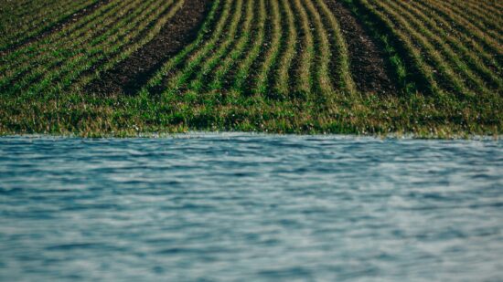 michal-bielejewski-NMf3qvrRgkg-unsplash